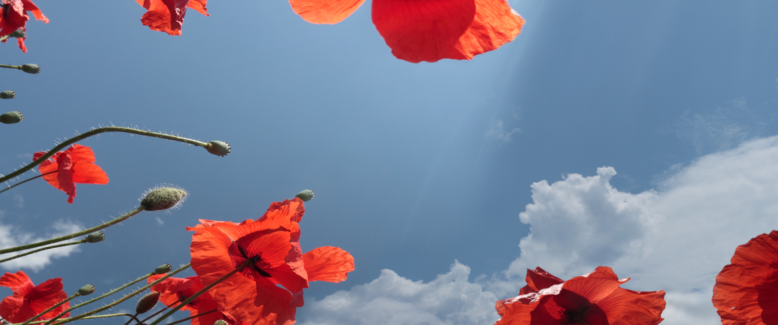 Musikwoche Edelhof 2026