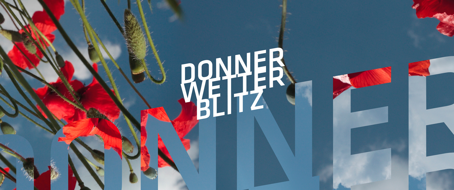 Donnerwetterblitz