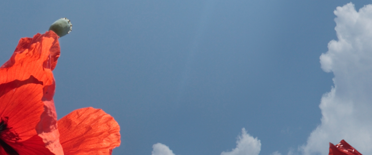 Donnwetterblitz und Sonne